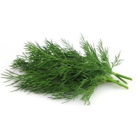 ANETO VASSOIO 20 GR FRESCO